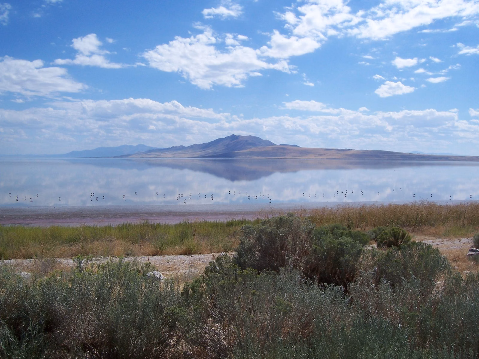 Antelope Island rising above the still water of Great Salt Lake, seen from the causeway