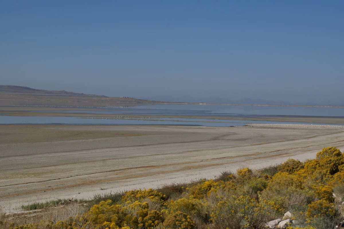 Pale shoreline of Great Salt Lake seen from the causeway, with Antelope Island beyond