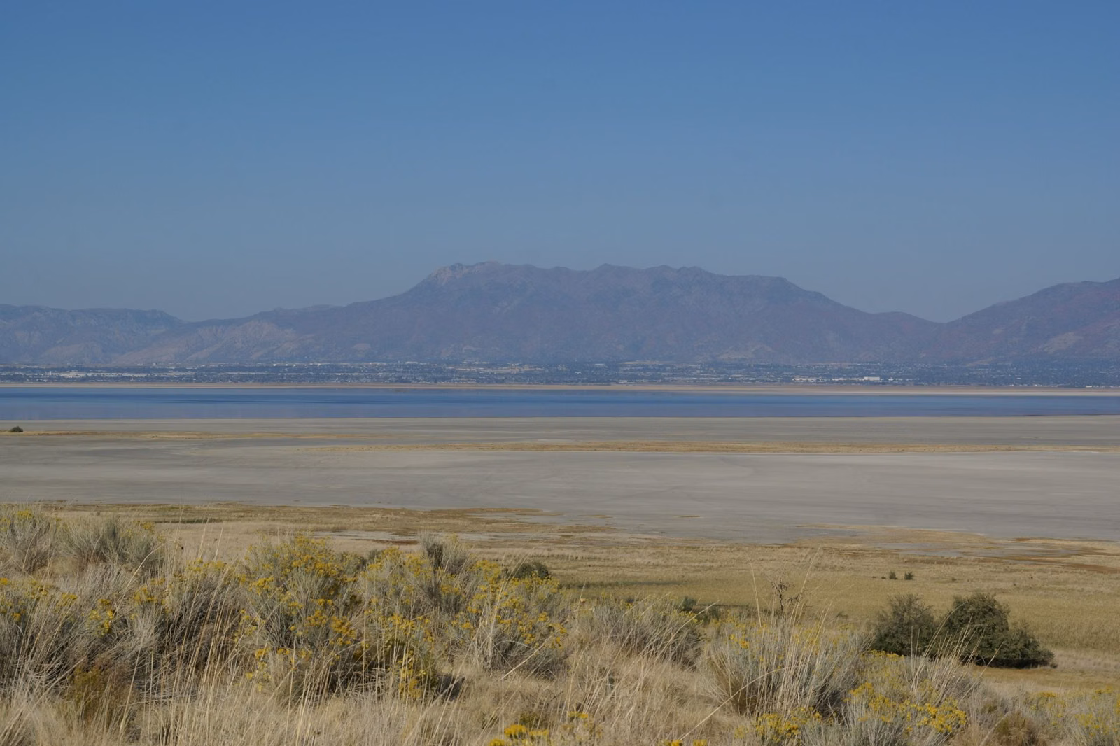 Great Salt Lake and the mainland around Layton seen across sagebrush from Antelope Island