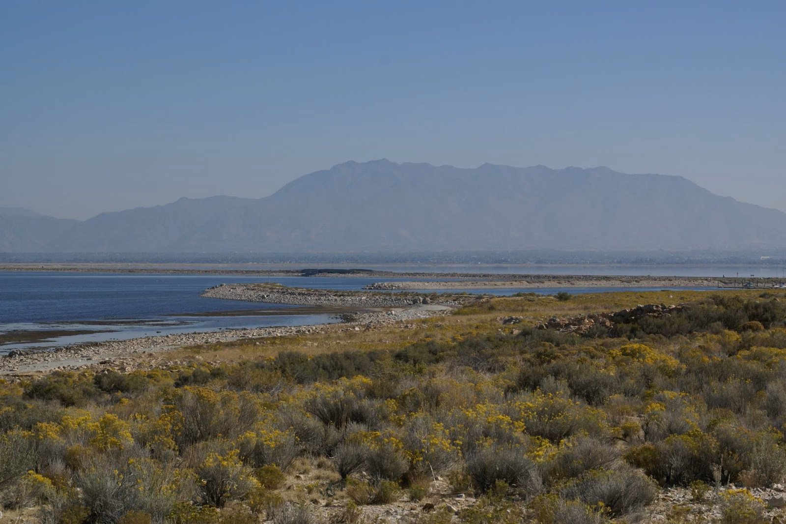 Great Salt Lake and a distant mountain range seen across shrubland on Antelope Island
