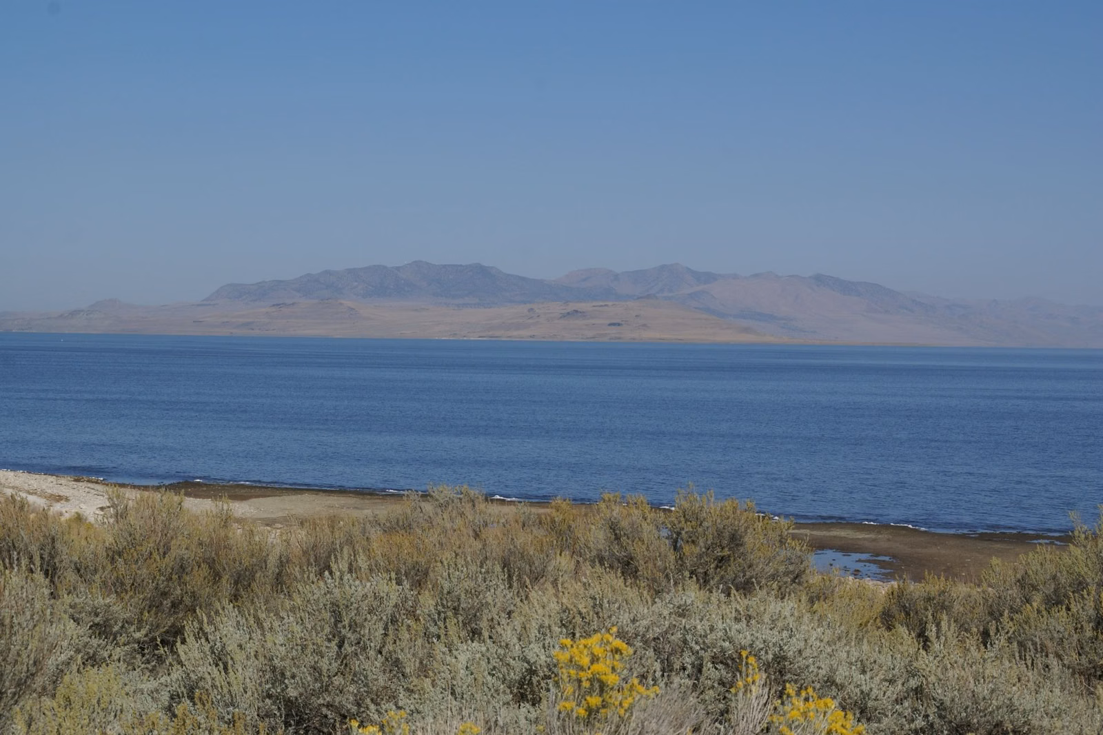 Great Salt Lake and the ridges of Antelope Island seen across sagebrush and rabbitbrush